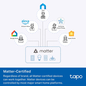 Tapo Smart Wi-Fi Dimmer 3-Way Light Switch with Matter-Certified 2-Pack