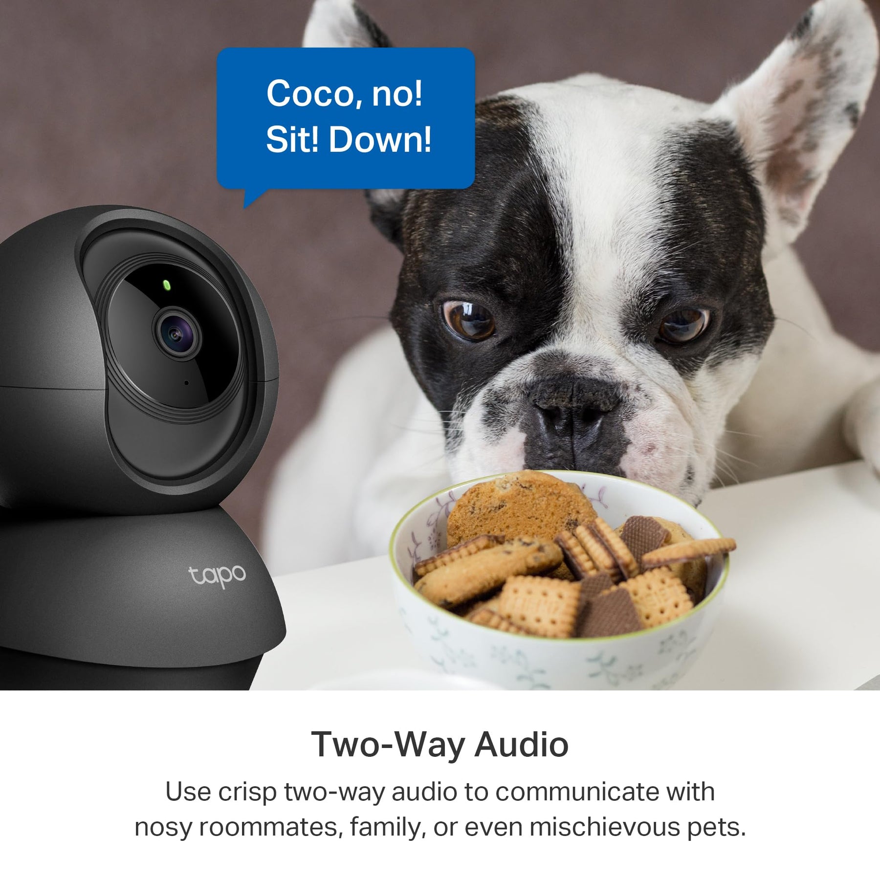 TP-Link Tapo 2K Pan/Tilt Indoor Security Camera, works w/ Alexa & Google  Home , Black (Tapo C211)