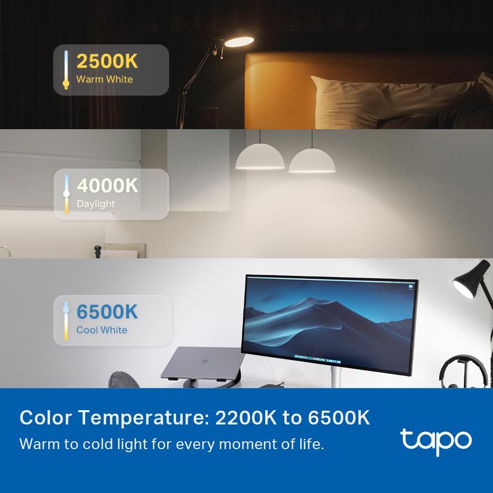 TP-Link Tapo Smart Wi-Fi Light Bulb Multicolor : : Hogar y  Cocina